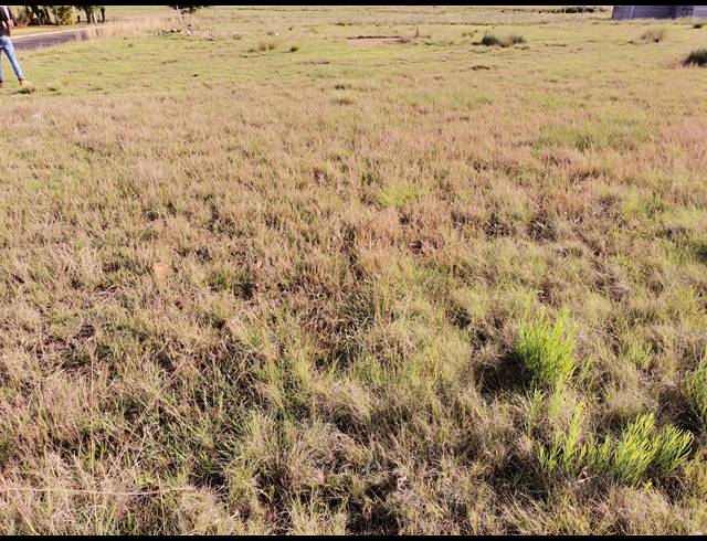 1,000M² VACANT LAND FOR SALE IN STRUISBULT